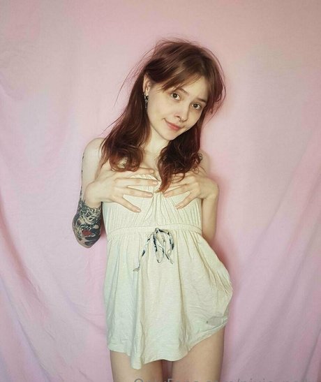 pixie polly beste hd bild