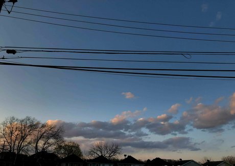 mooseve freie erwachsene bilder