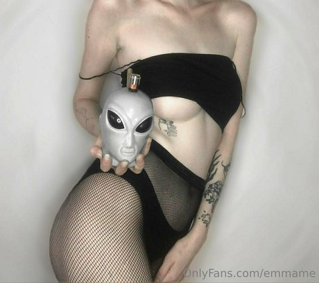 arielmurrr Profilfoto