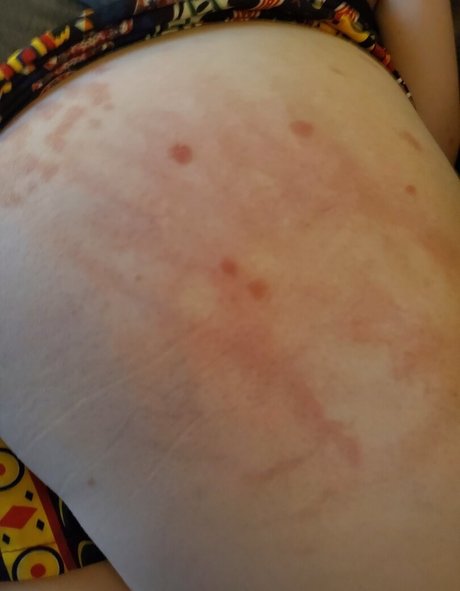 prettylittlecurls hd freie foto