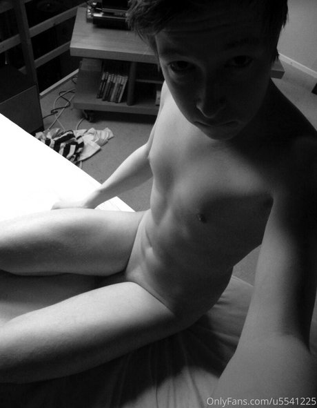 toastmauwmauw kunst freie foto