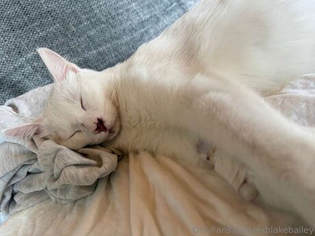 XxBlakeBailey Fotoaufnahmen