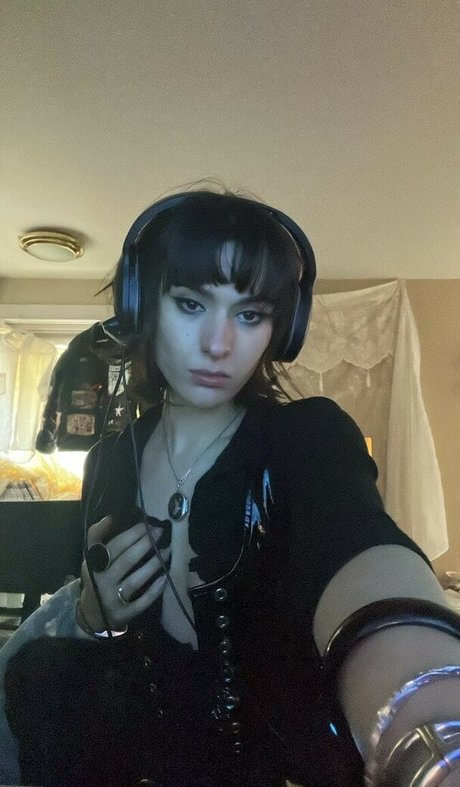 Dyremarxx schöne top bild