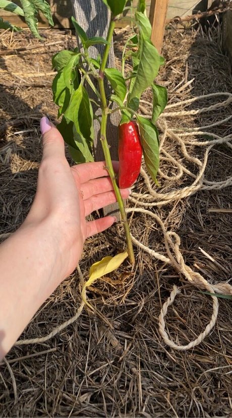 Blondedouce nackt heiße galerien