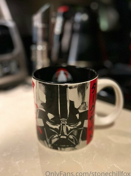 stonechillfox top perfekte galerien