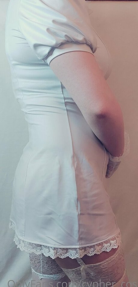 kätzchen nur fans beste kostenlose fotos