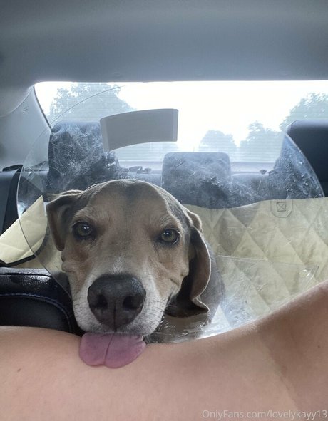 lovelykayyyyy kunst heiße archiv