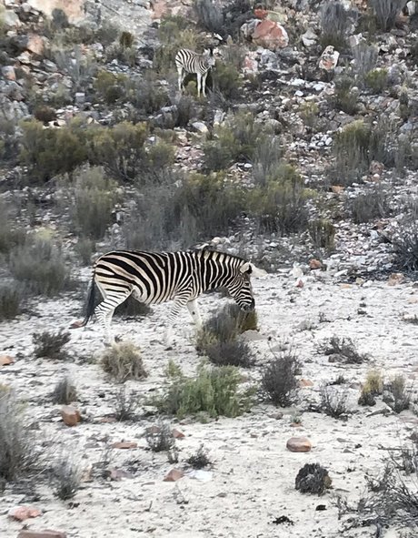 jimnewmannyc schauspielerin nackten archiv