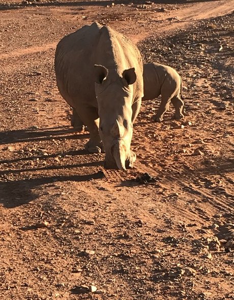 jimnewmannyc nackt sex bilder