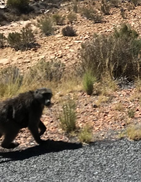 jimnewmannyc schauspielerin perfekte bilder