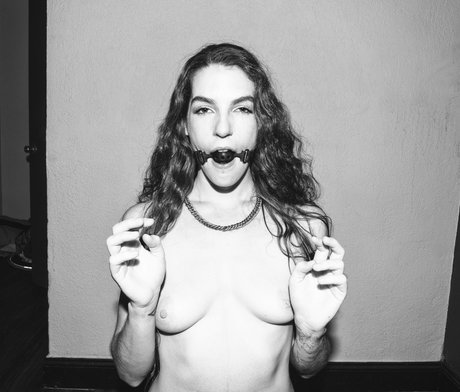 Stevie Macaroni xxx archiv