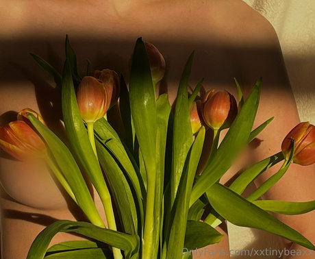 xxtinybeaxx top nackte galerie