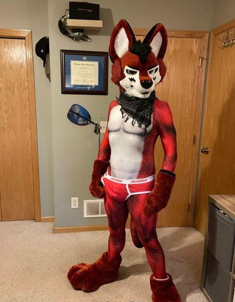 wolf ezo freie kunst galerien