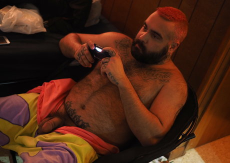 donutsteak hd hübsche bild