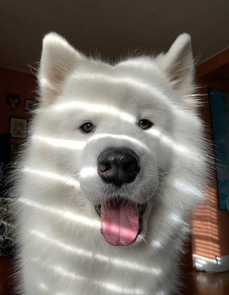 loandthecosmos2 heiße schöne foto