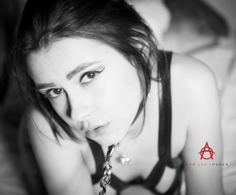Peyton Rhodes beste porno galerien