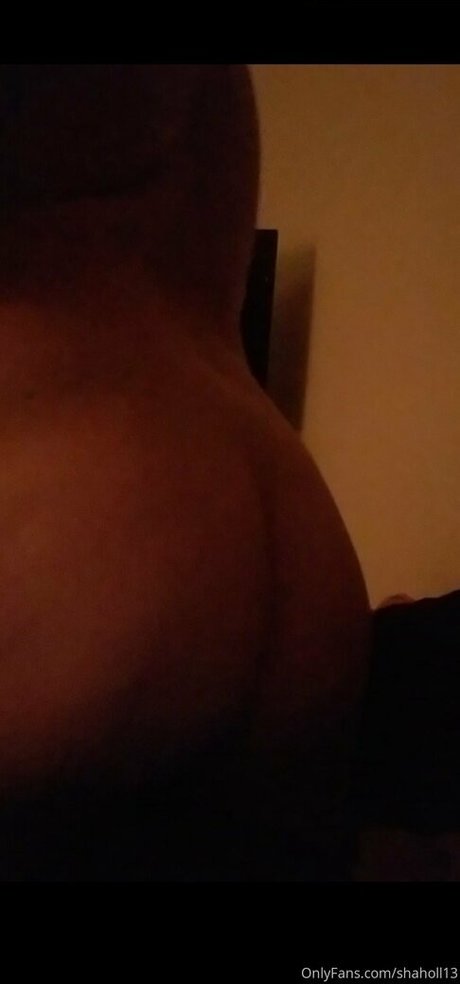 shaholl13 exklusive kunst galerien