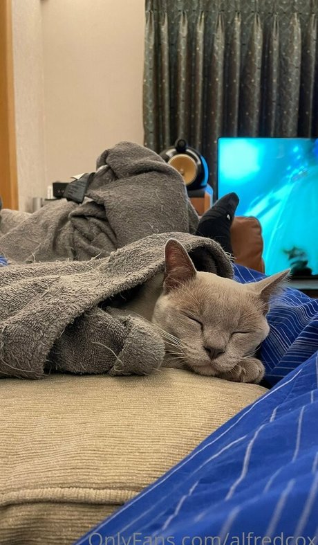 alfredcox model erotische galerien