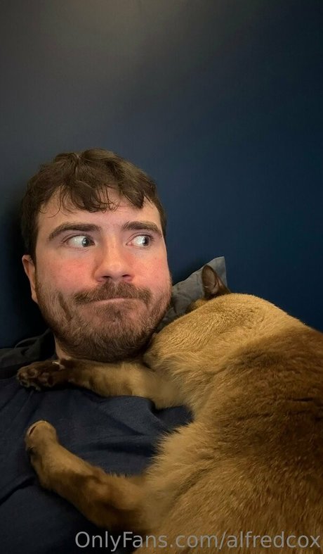 alfredcox top perfekte bild