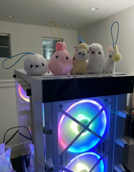 kitten kyra estrella porno adulto foto