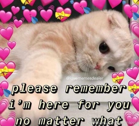 Peachkissx estrella hd galería