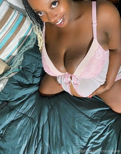 cococookie estrella superior galería