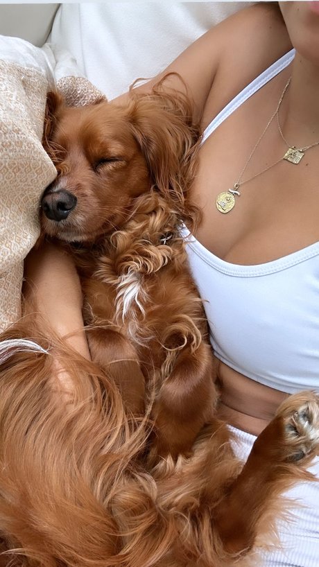 Brooke Blurton actriz sexual archivo