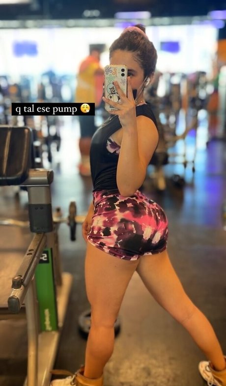 Sassi Z libre de estrellas galerías