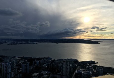 Abbey Jeffrey modelo superior imagen