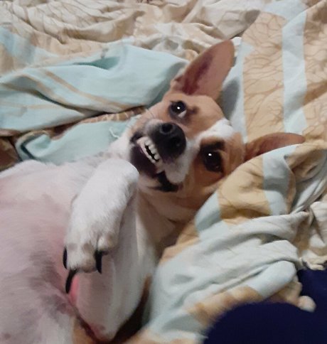 beersoakedangel02 estrella exclusiva archivo