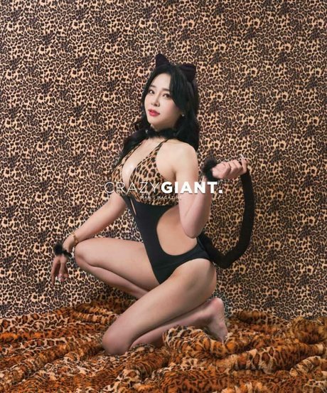 Shasa fly estrella de alta calidad fotos