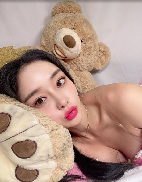 Shasa fly modelo hd imagen