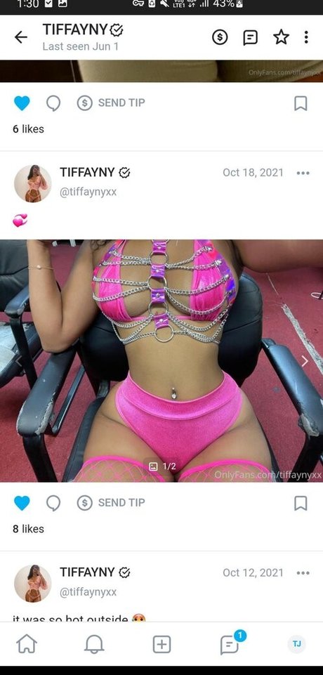 tiffaynyy hermosa estrella porno foto