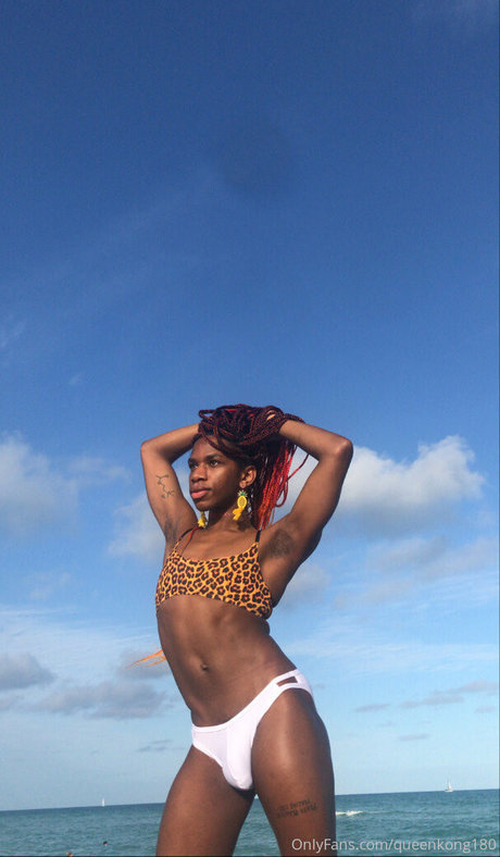 aj180 modelo superior imagen