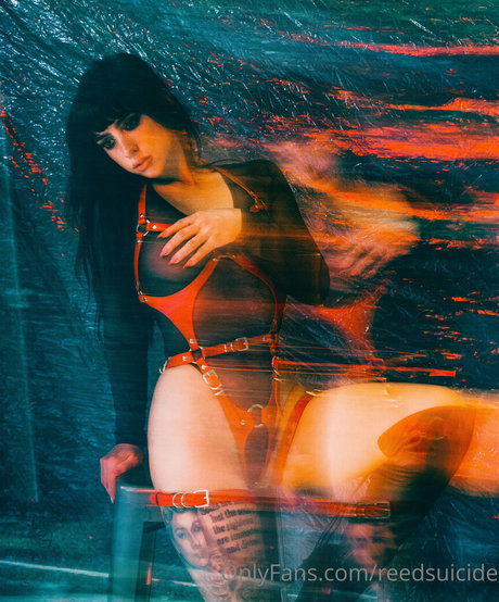 Reedsuicide xxx estrella porno archivo
