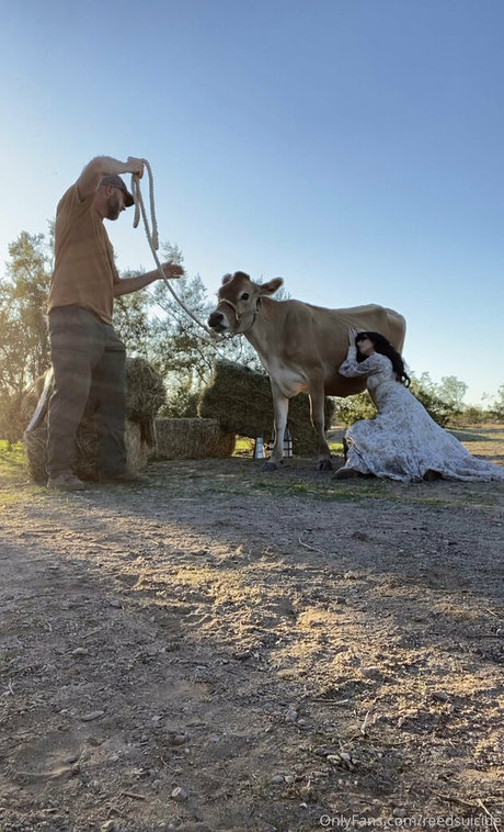 Reedsuicide estrella porno de arte galería