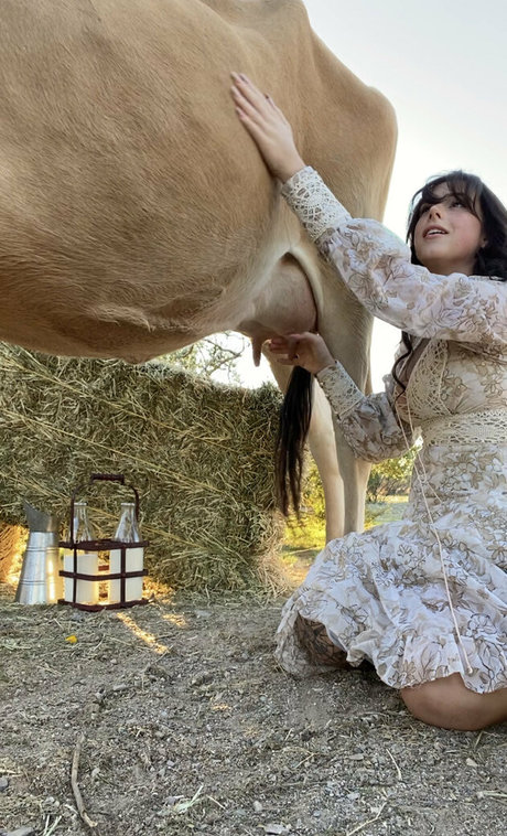 Reedsuicide estrella porno sexy recopilación