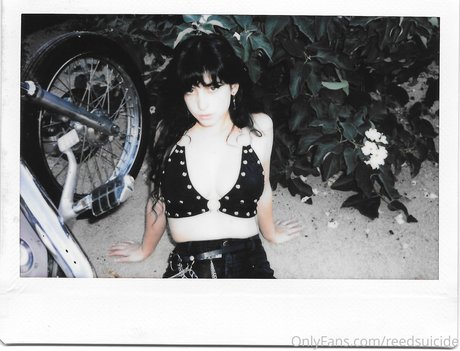 Reedsuicide buena estrella porno galería