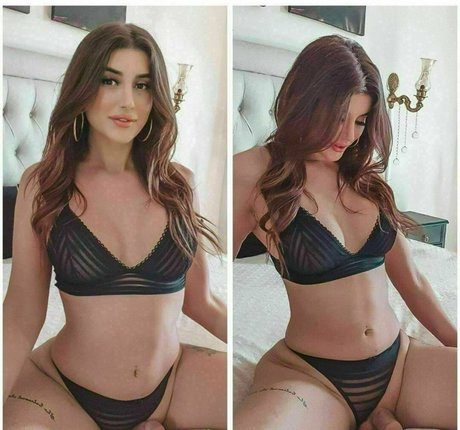 valentinats4m estrella libre recopilación