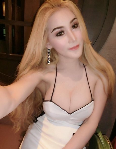 valentinats4m estrella de alta calidad archivo