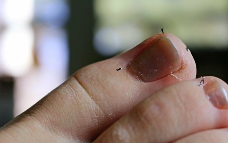 mantman modelo caliente fotos