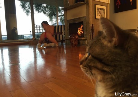 milf delgada onlyfans gratis de alta calidad galería