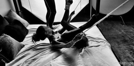 thecamdamage estrella perfecta archivo