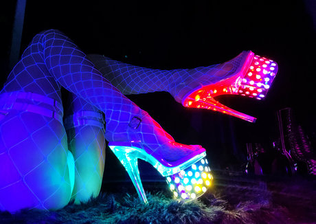 lovingpet hermosa estrella recopilación