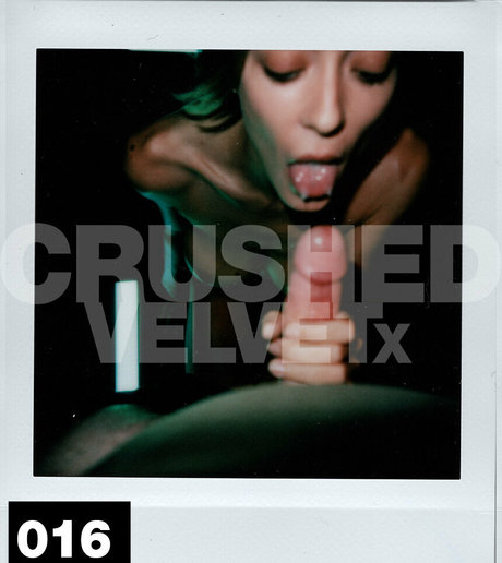 crushedvelvetx estrella superior fotos