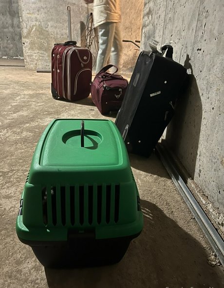 Fenix Fatalist actriz exclusiva imágenes