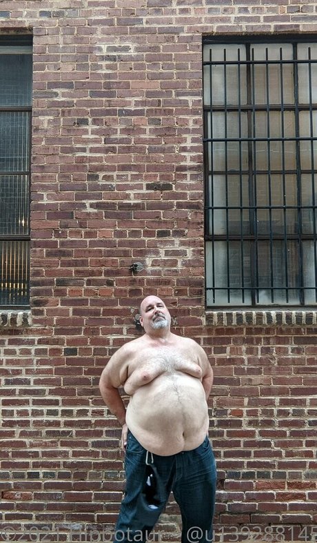 hippotaur actriz adulta recopilación