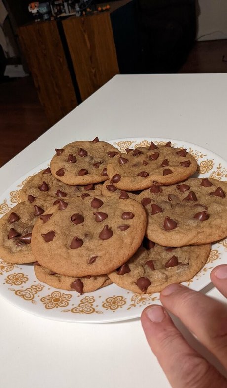 hippotaur desnudos de modelos fotos