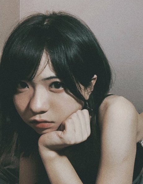 meizaijiang estrella agradable galería