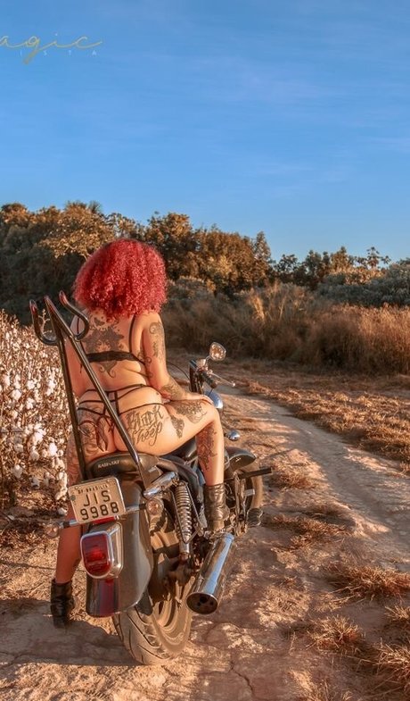 Varias Em Um estrella bonita fotos